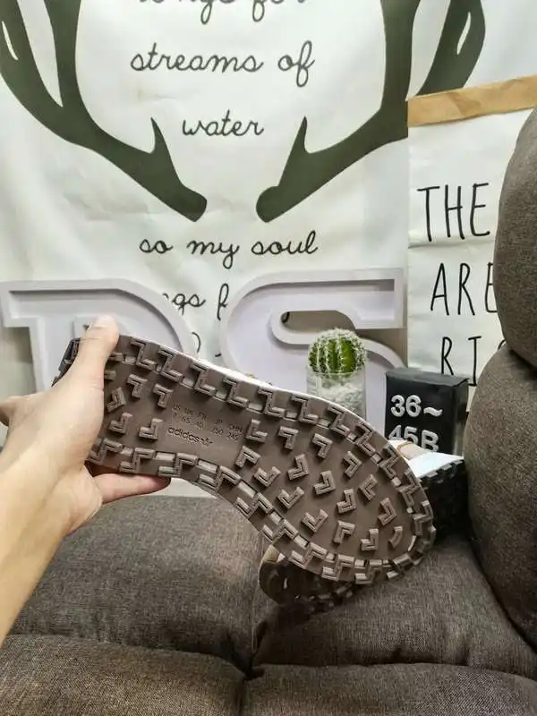 IMG_20240112_000823.webp