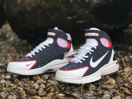 Zapatillas de baloncesto deportivas Nike Huarache 2K4 Dream Team 308475-400