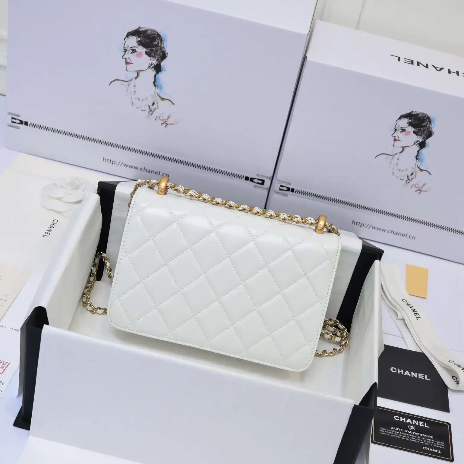  KK04650 (3).webp