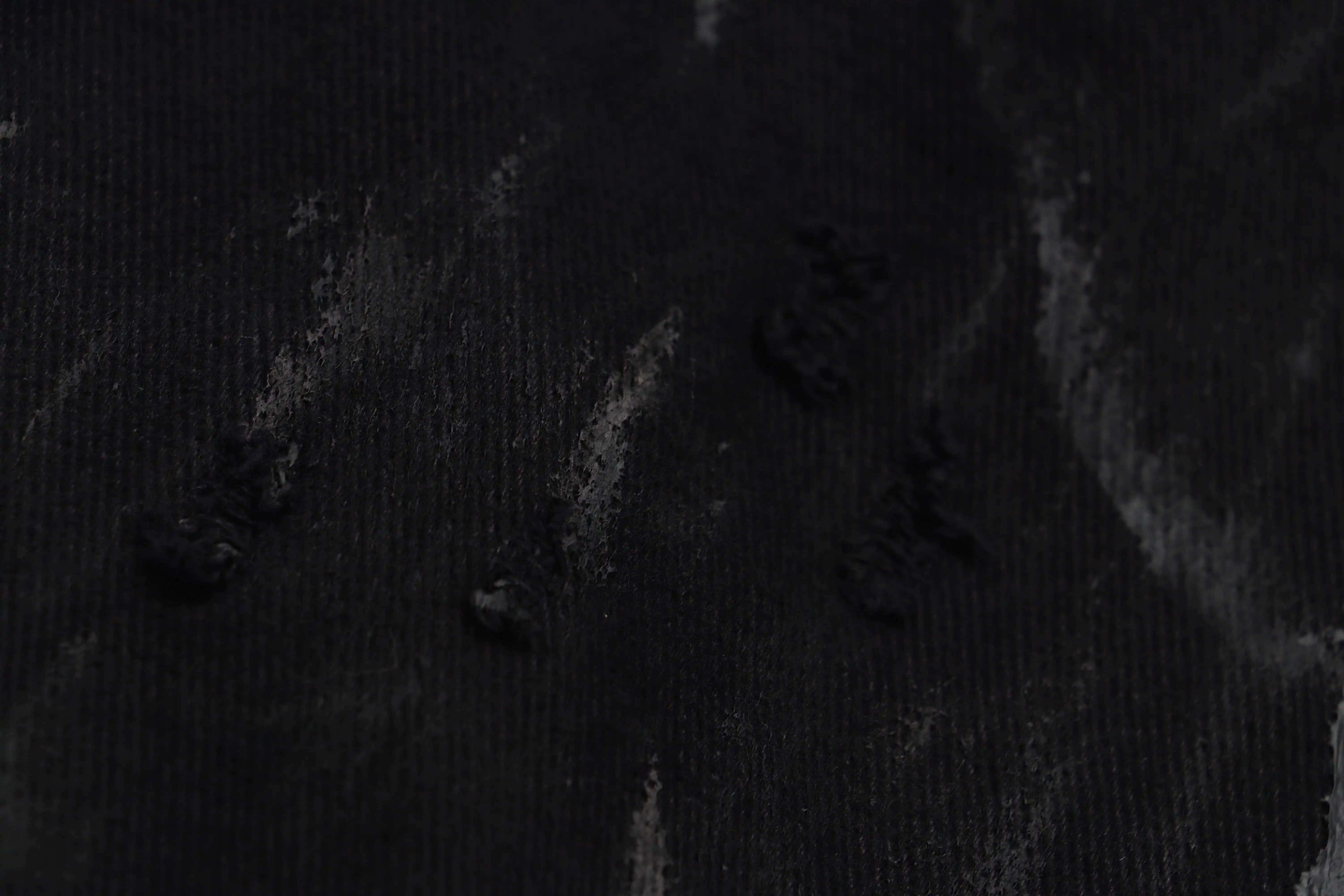 IMG_8726.webp