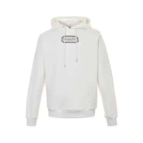 Sudadera con capucha y etiqueta plateada bordada CD/Dior 22Fw