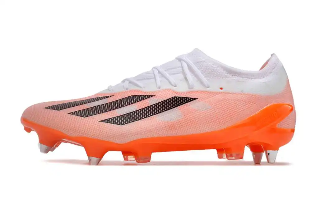 DSC_0210.webp