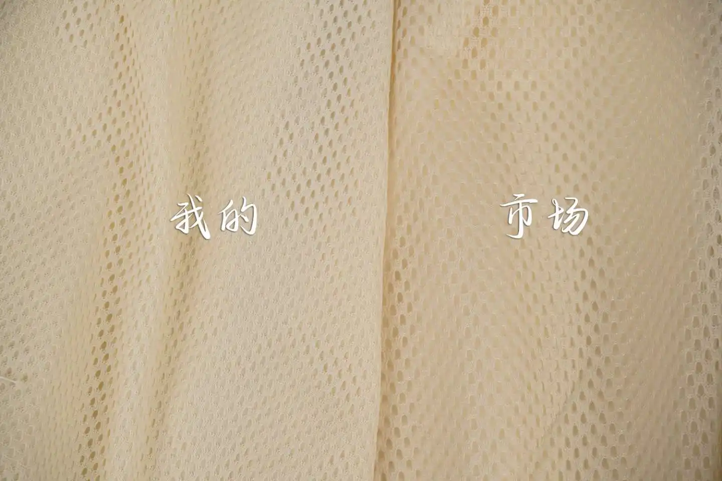 wsxc1708539089511_5.webp