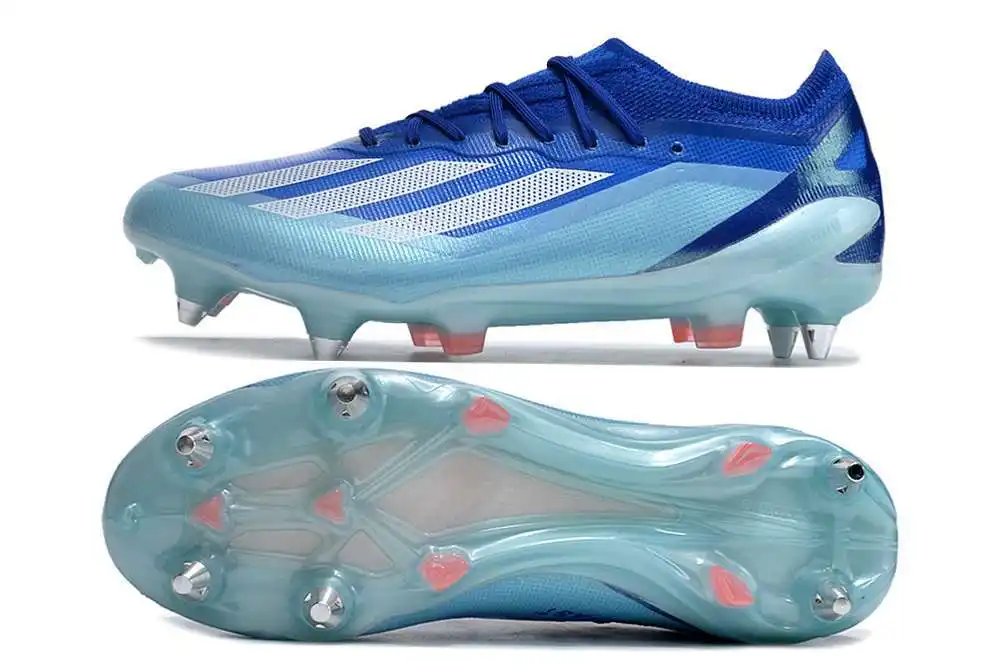 DSC_8644.webp