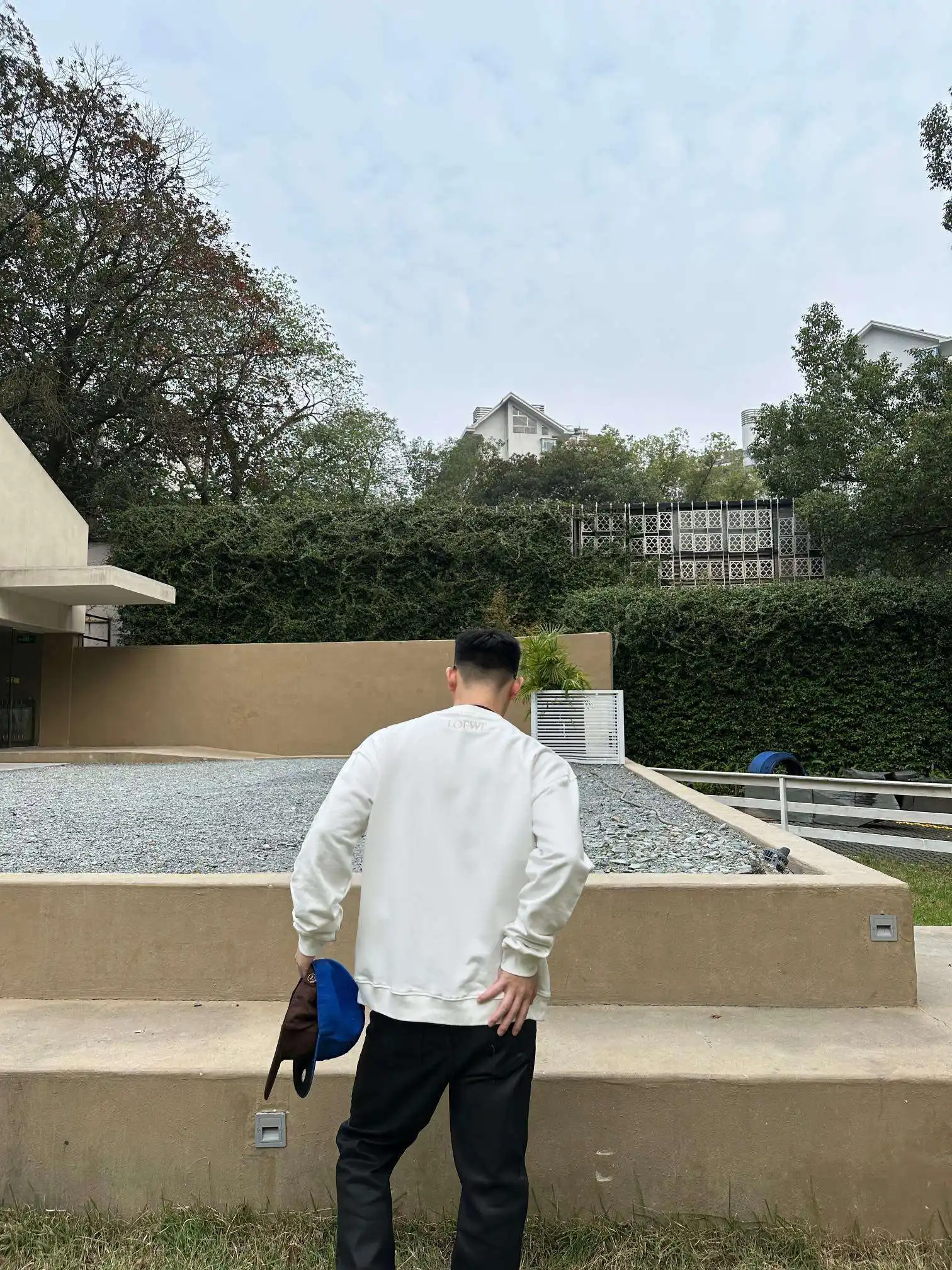 1708926590280.webp