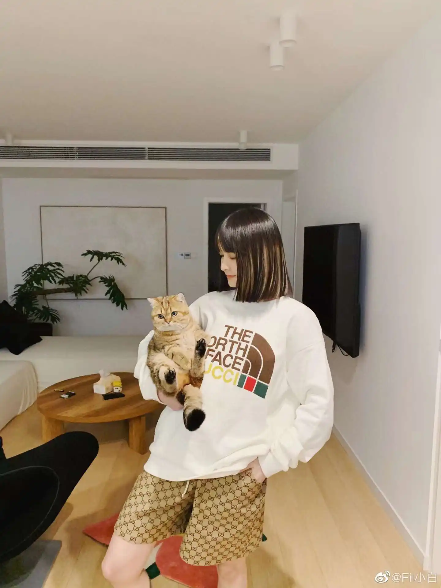 1709008532015.webp