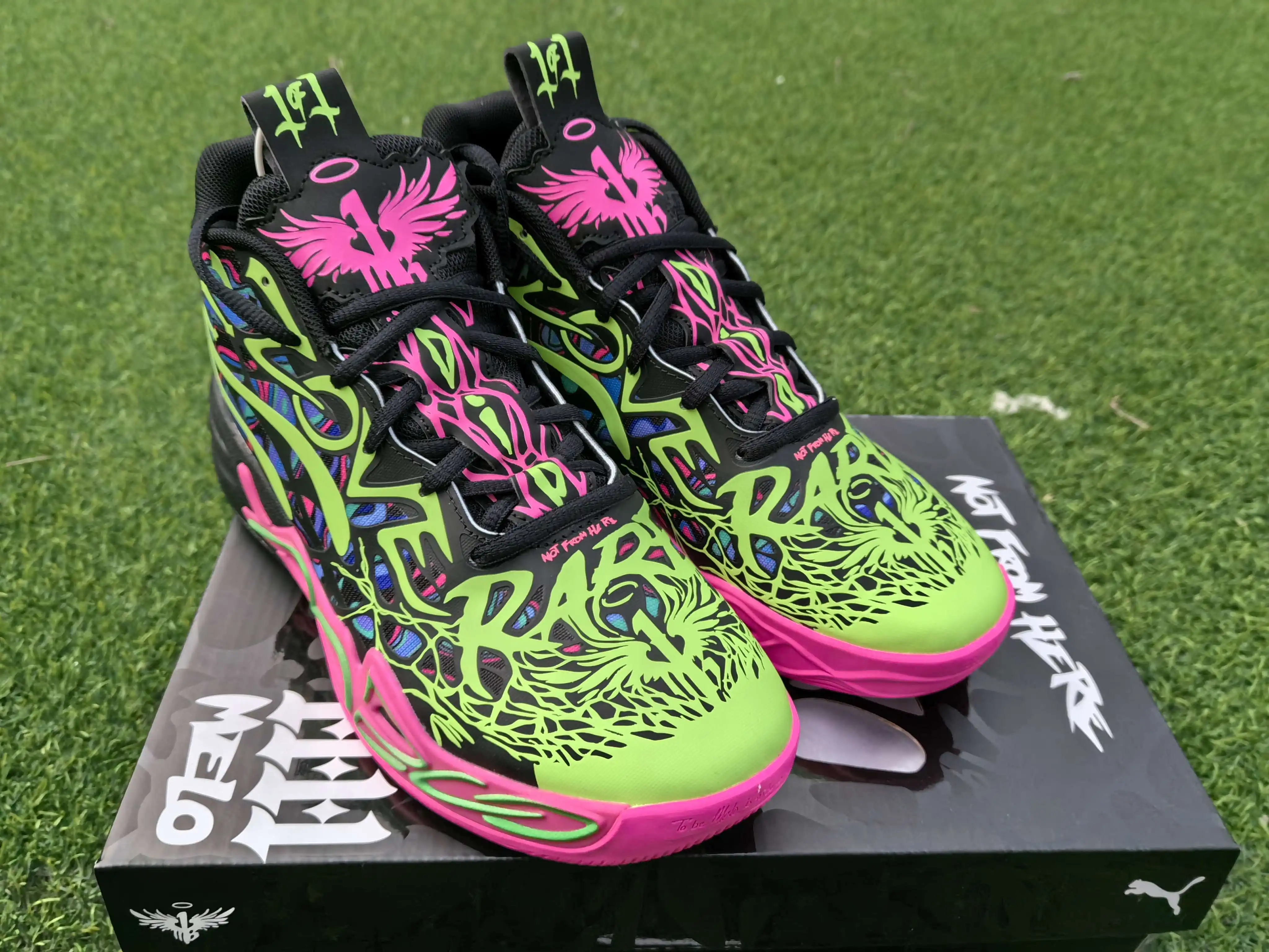 IMG_20240403_093625.webp