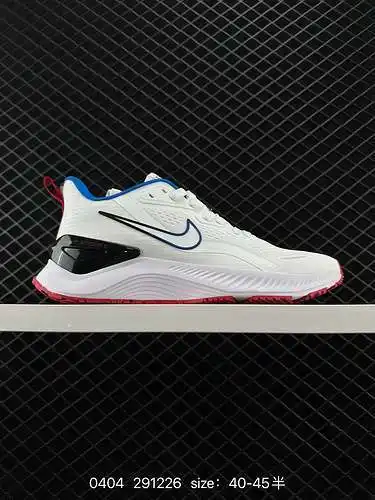 3 Zapatillas para correr Nike Air Zoom Pegasus Moon Una zapatilla para correr de malla transpirable 