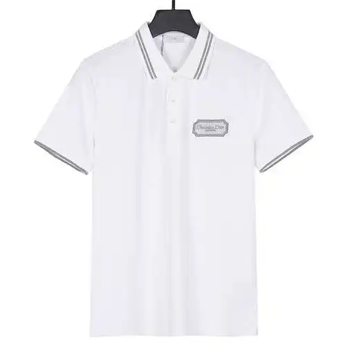 Dior CD 24SS embroidered small label high-end goods summer men's lapel short-sleeved T-shirt