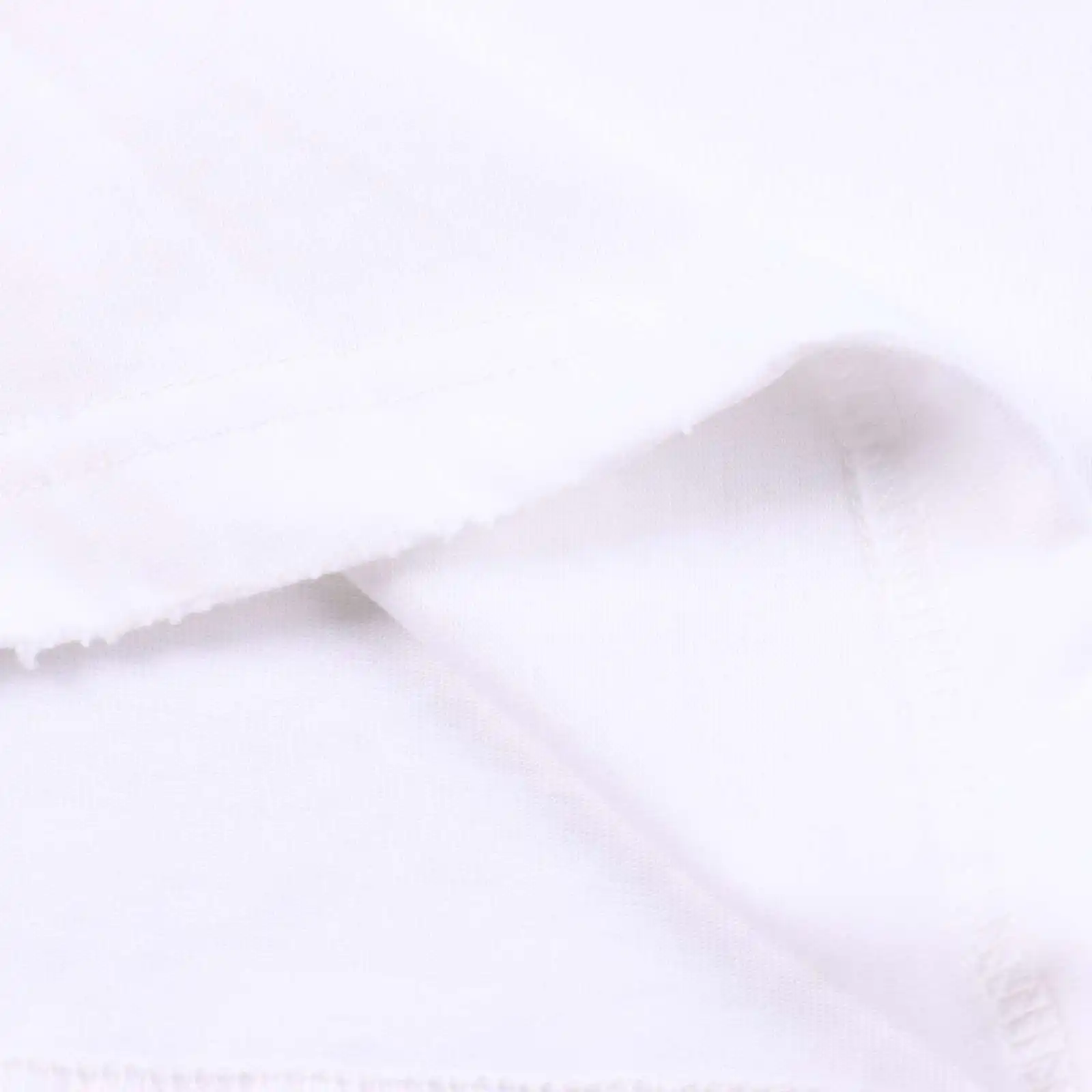 IMG_2396.webp