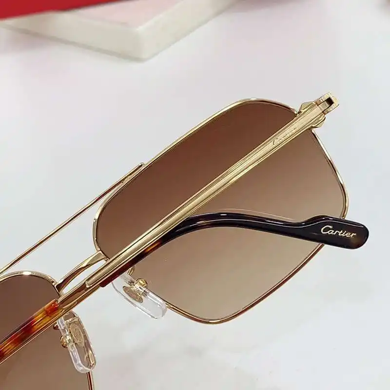 wsxc1712504989118_6.webp