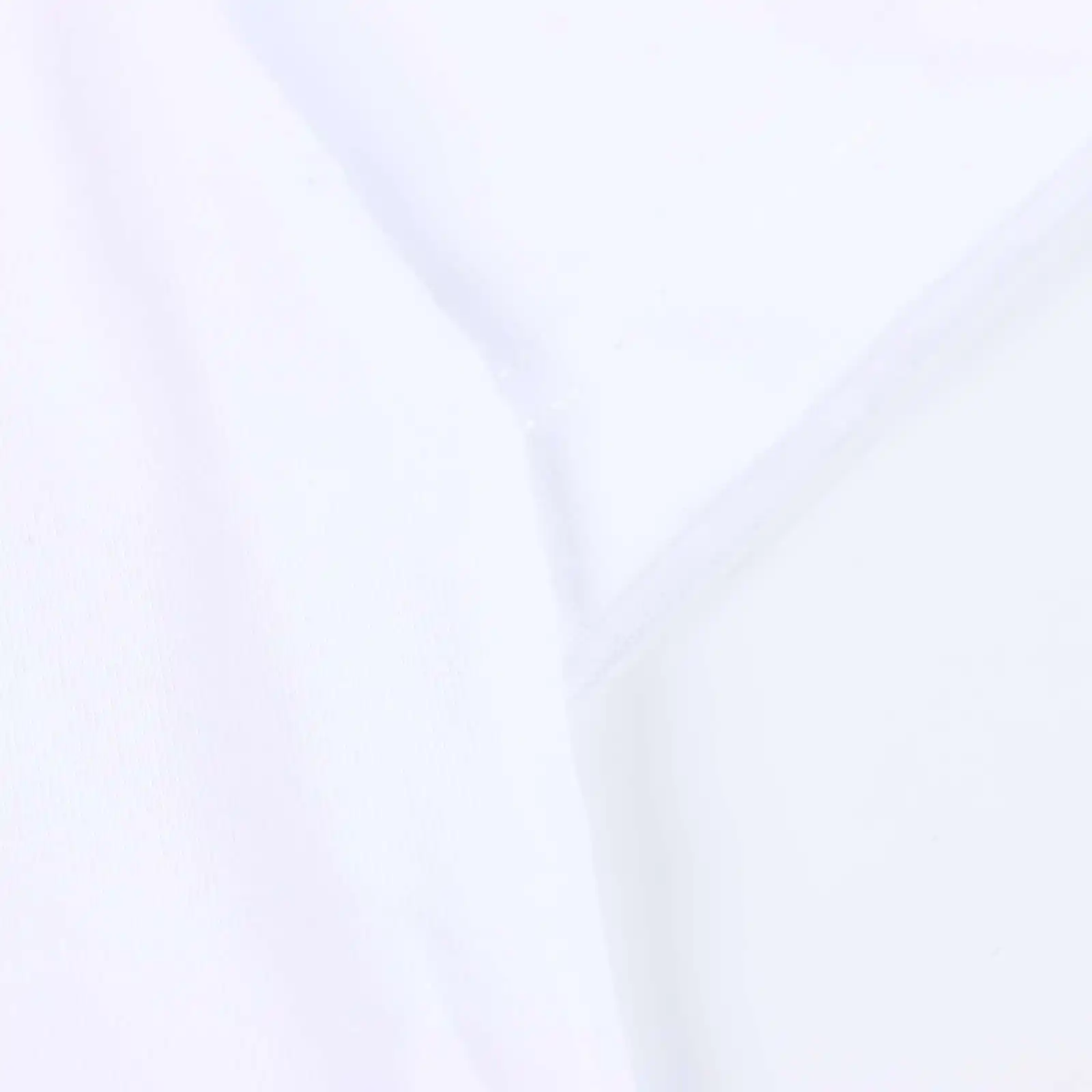 IMG_2414.webp