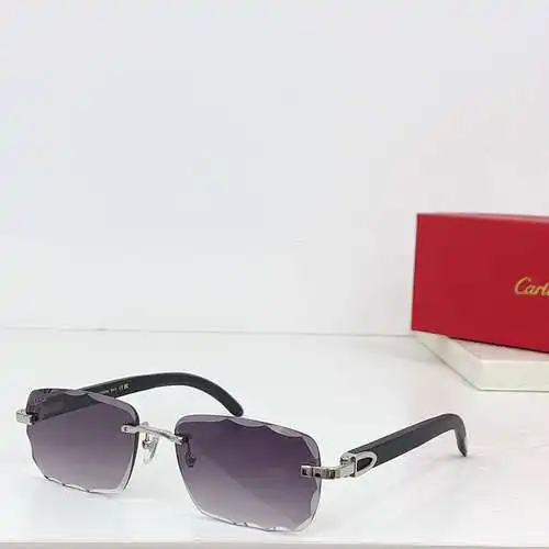 CT0529S