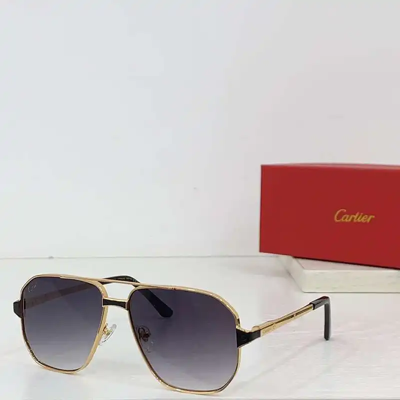 wsxc1713795539134_4.webp