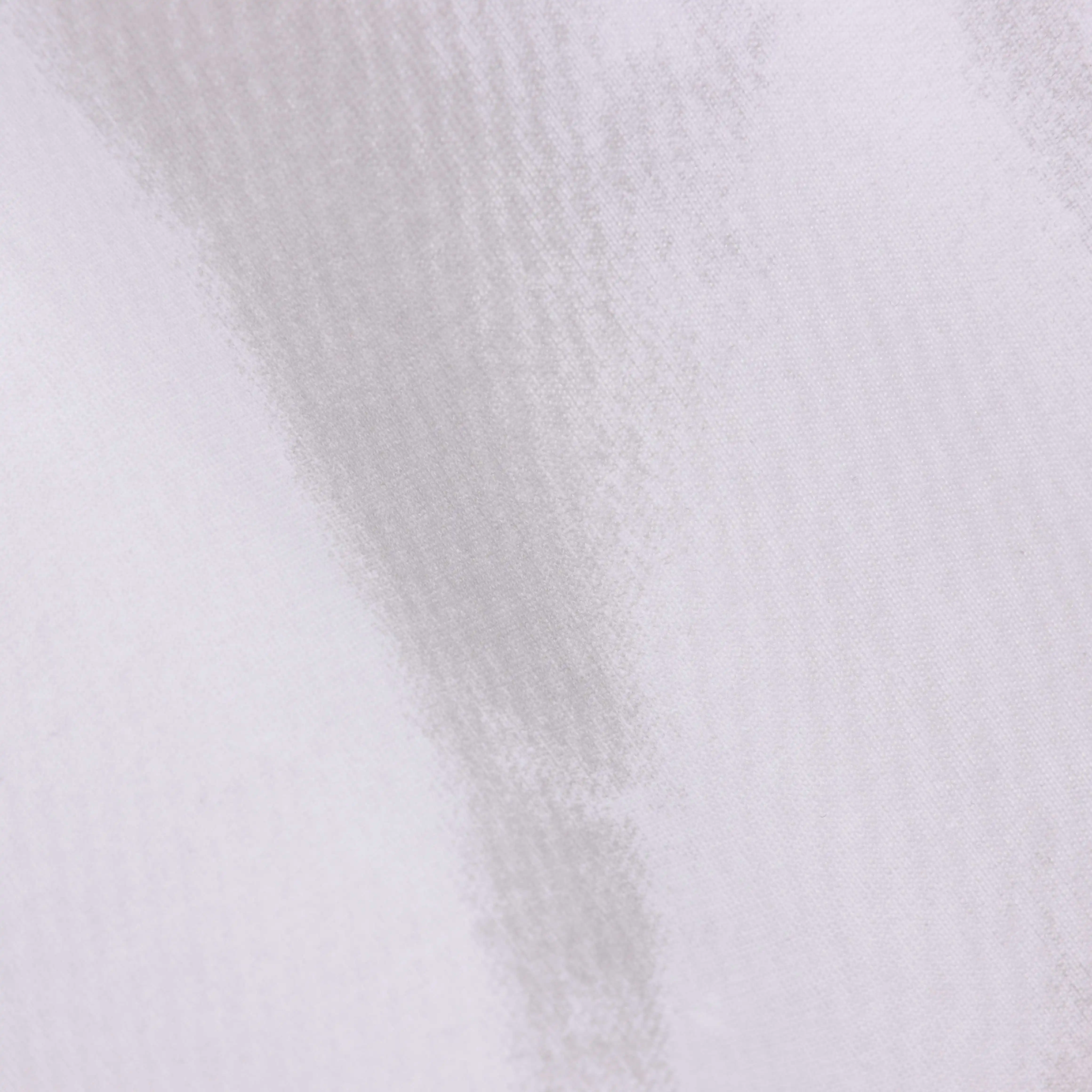IMG_7913.webp
