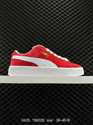 4 gamuza puma