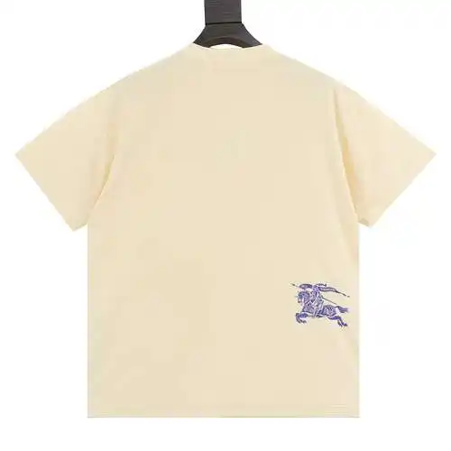 Camiseta de manga corta caballo de guerra de rizo BBR 24SS