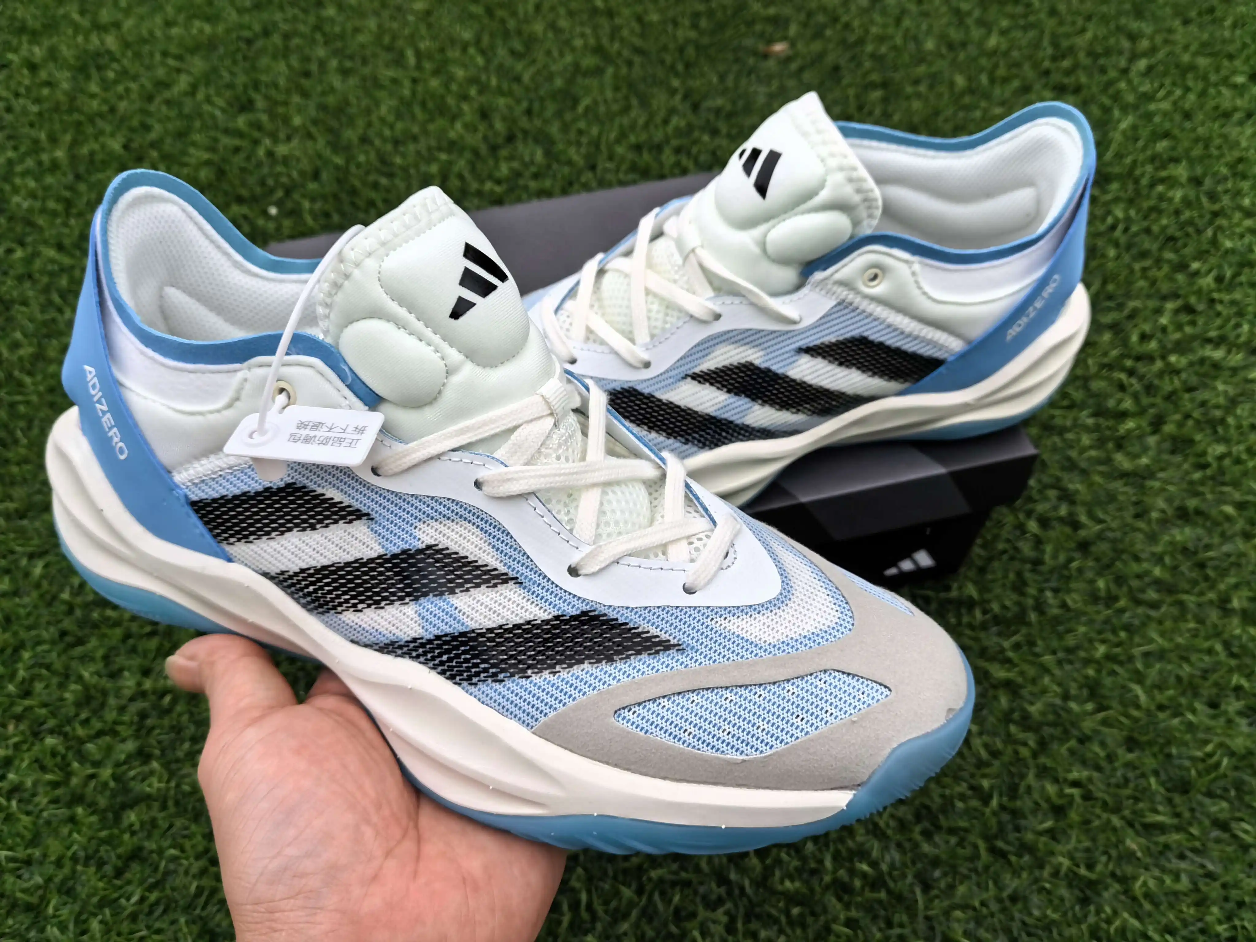 IMG_20240520_145406.webp