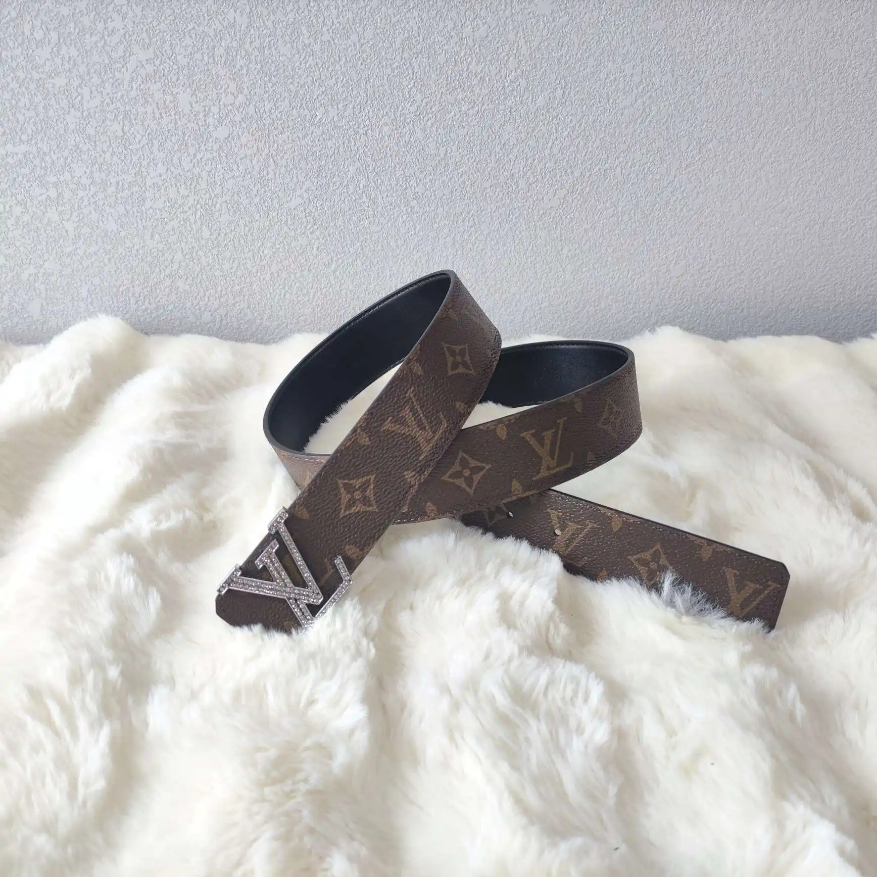 PP8801100 (72).webp