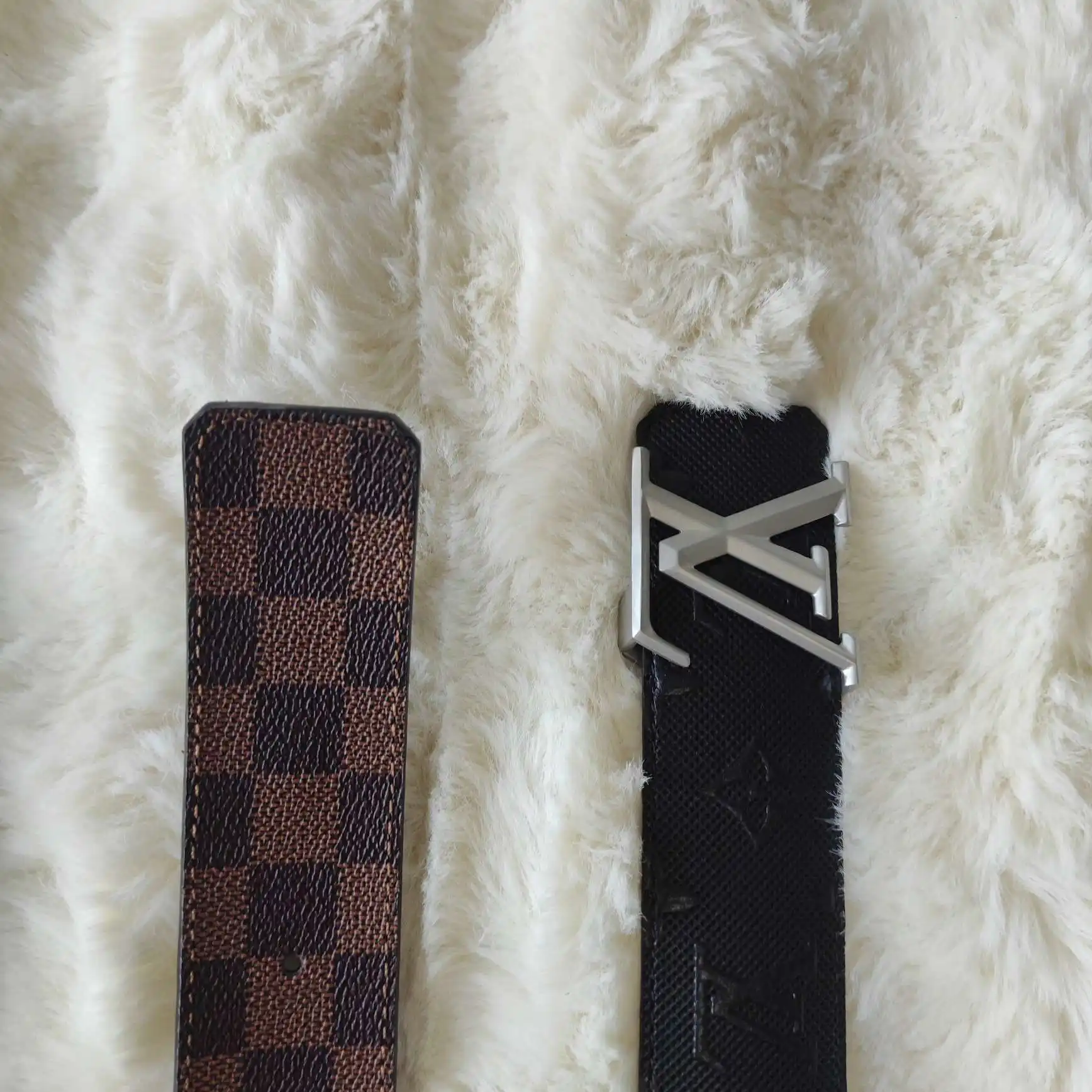 PP8801100 (106).webp