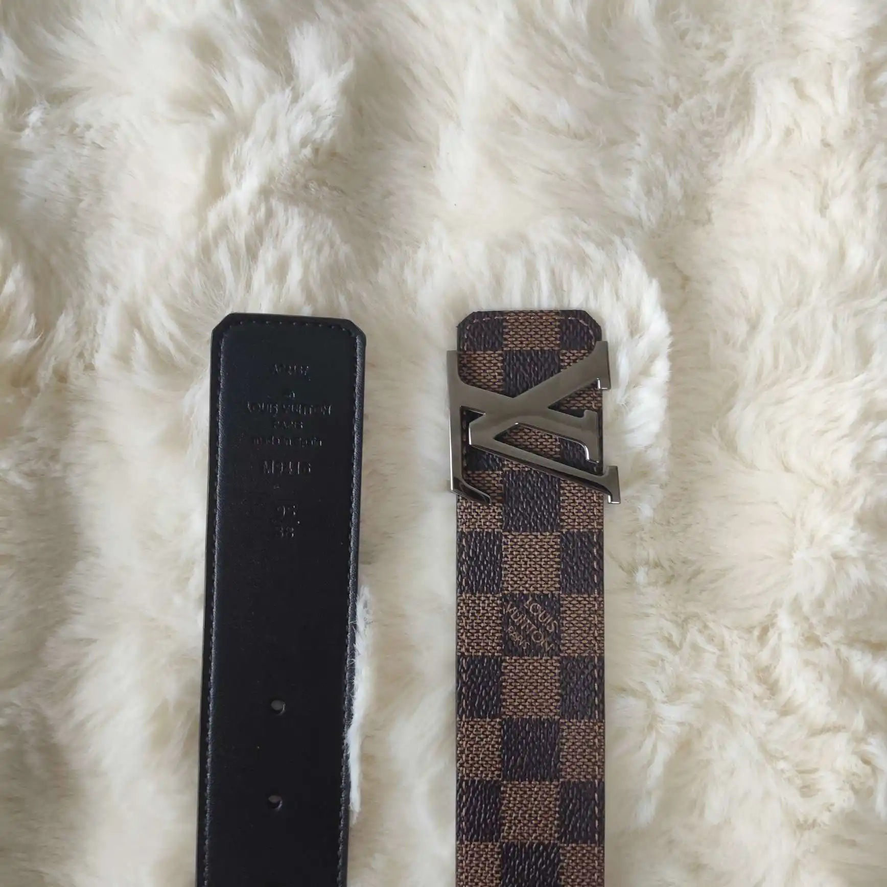 PP8801100 (47).webp