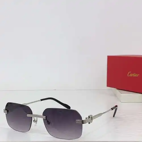 CT0271S