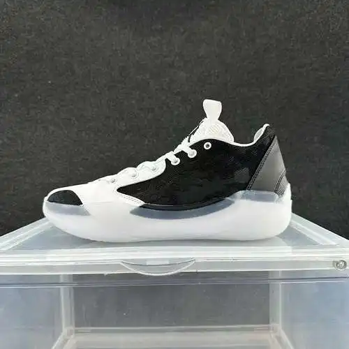 Jordan 39ª generación blanco y negro 40-45