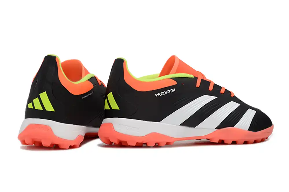DSC_4203.webp