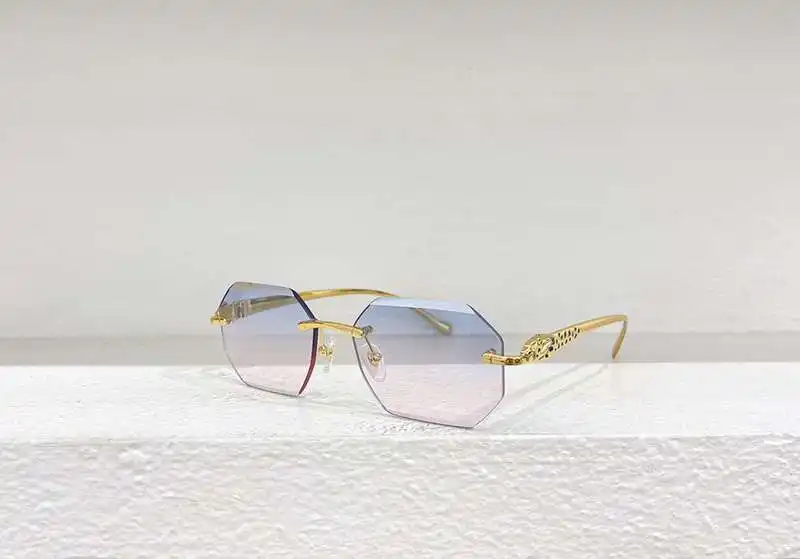 wsxc1719249210919_0.webp