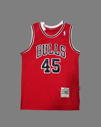 Bulls No. 45 Jordan Retro Rojo