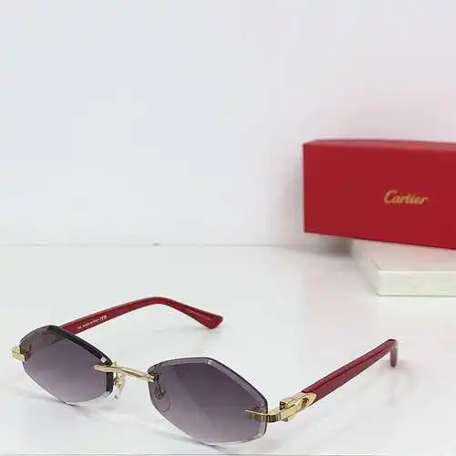 CT0901S