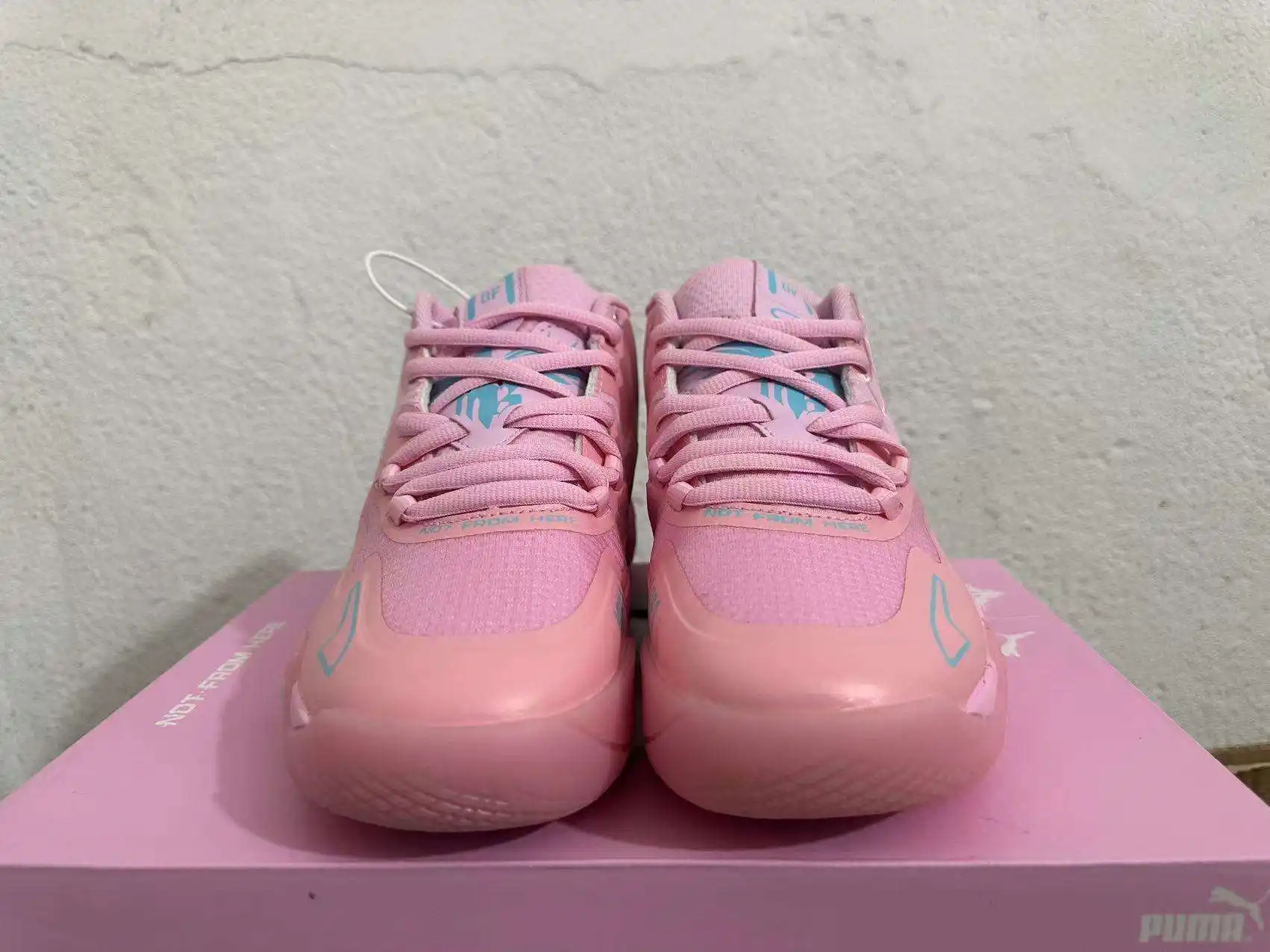 1721809294717.webp