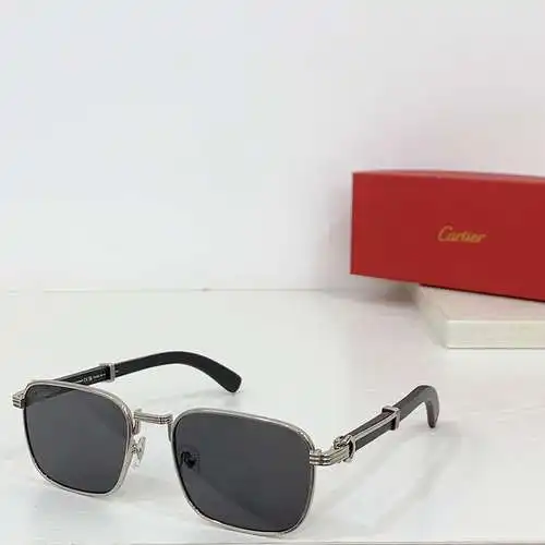 CT0363S