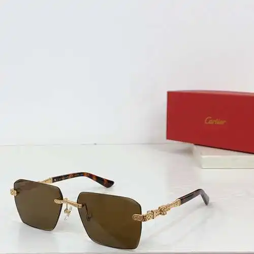 CT0613S