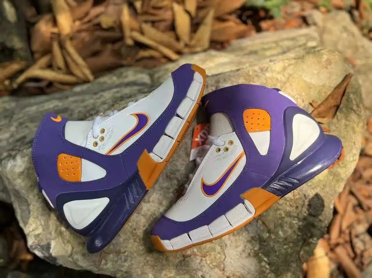 IMG_6409.webp
