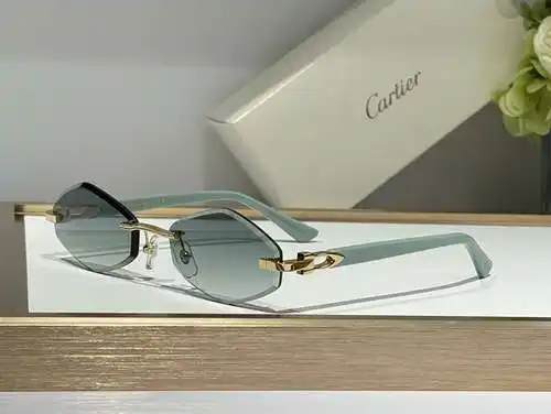 Ct0901s