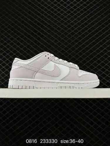 Nike dunk Low recrea zapatillas deportivas recrea zapatillas de patinaje deportivo. Una zapatilla de