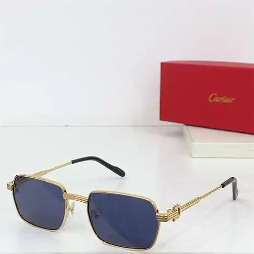 Ct0463s