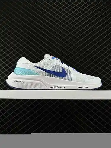 El NK AIR ZOOM Vomero lunar V6 combina una apariencia rápida y una sensación estable de los pies. La