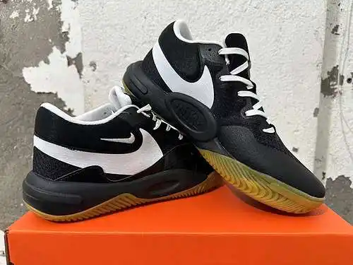 Negro, blanco, marrón 40 - 45