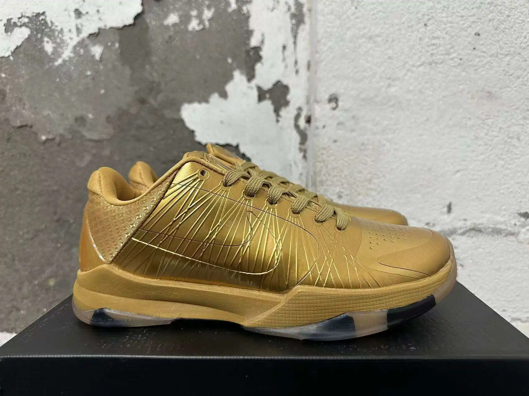 1724466445510.webp