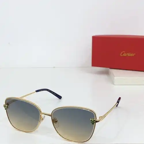 Ct0621s