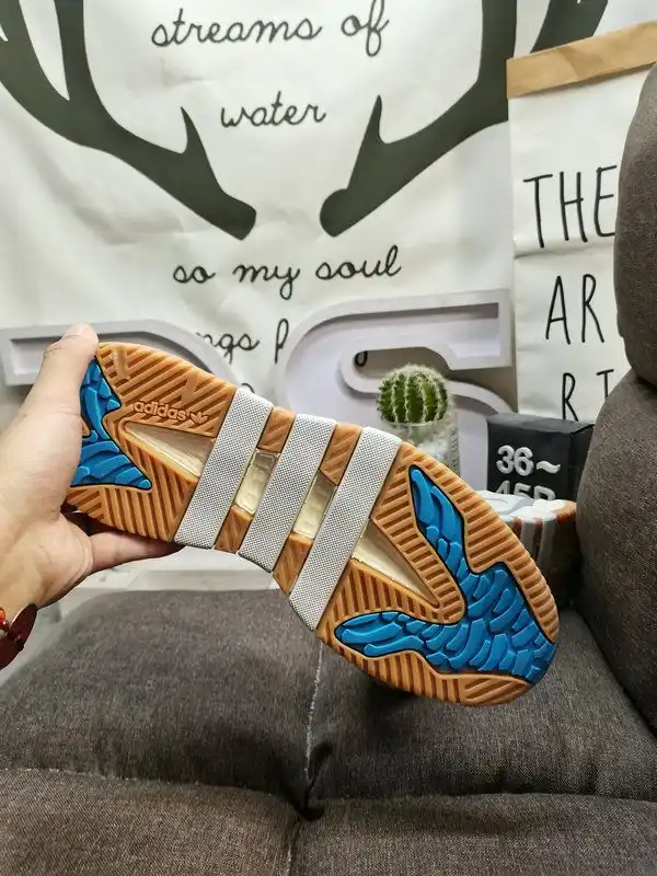 IMG_20240921_001921.webp