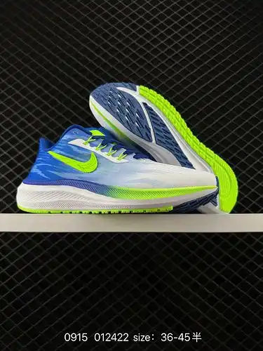 1D1D0G Nk Air Zoom Pegasus 39E Lunar Running Shoe Lunar 39E Generation Ultra Light Mesh Running Shoe