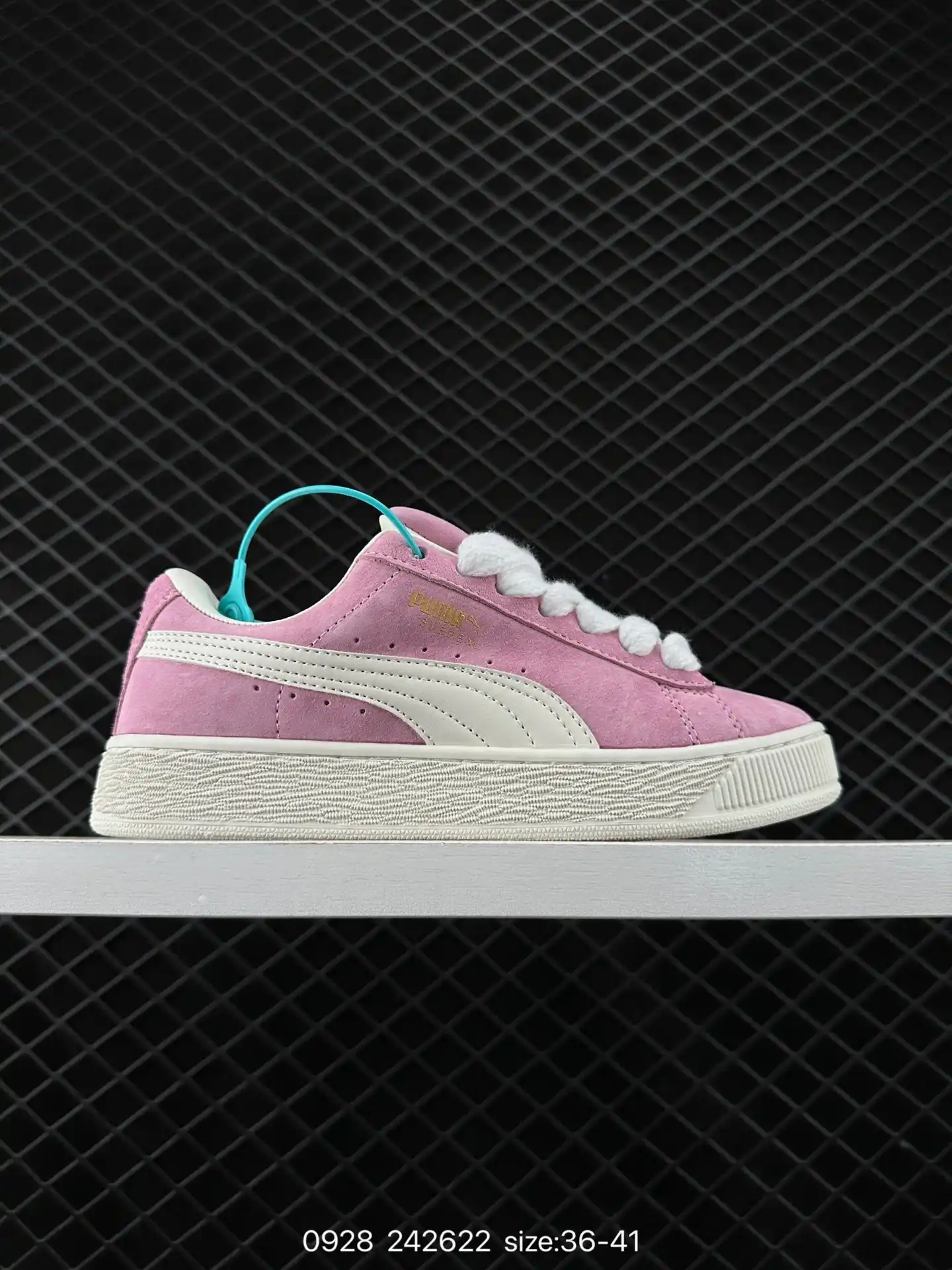 wsxc1727535820816_0.webp