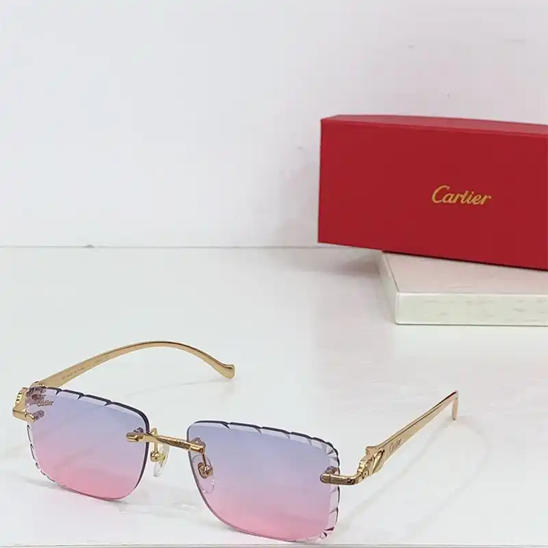 wsxc1726223512784_4.webp