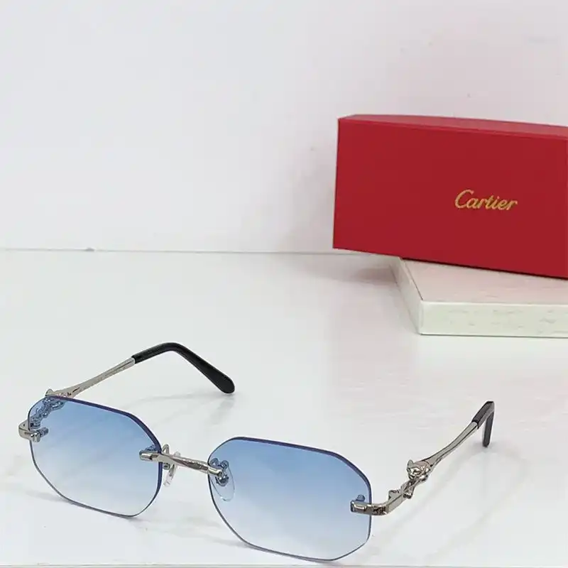 wsxc1726223545674_6.webp