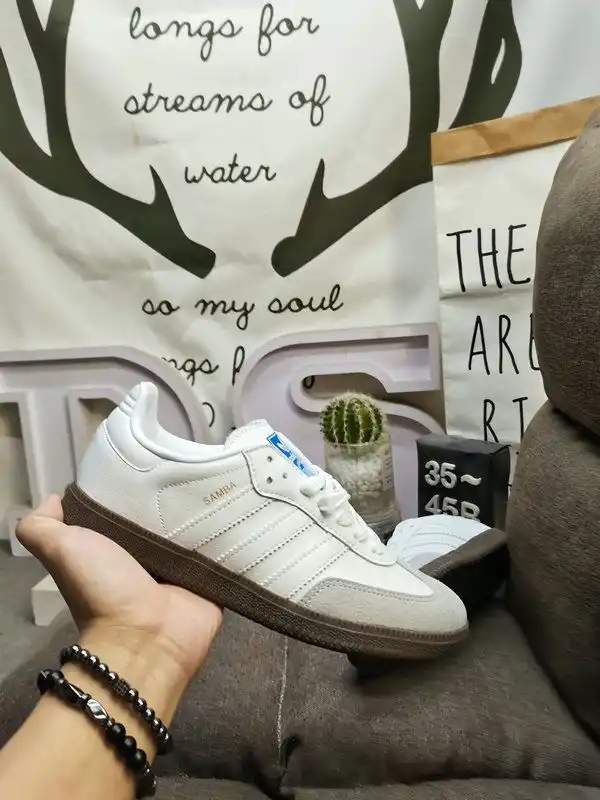IMG_20241012_020202.webp
