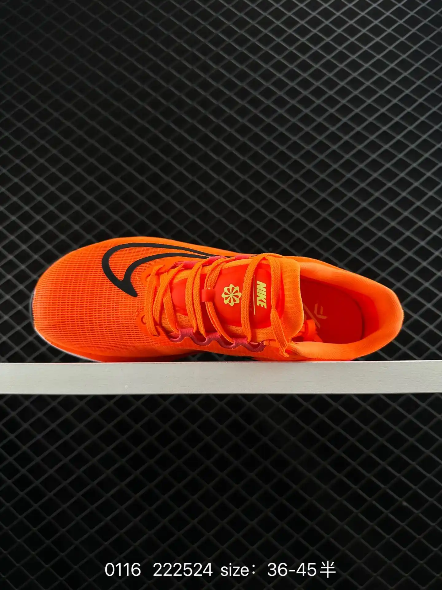 wsxc1729090913998_2.webp