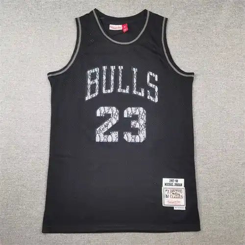 Bulls 23 Jordan Retro Snake Black